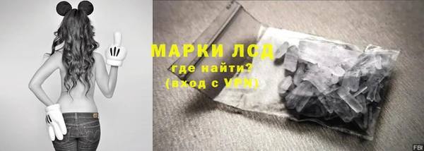ГАЛЛЮЦИНОГЕННЫЕ ГРИБЫ Арсеньев