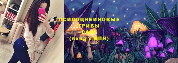 СК Елабуга