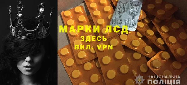 ГАЛЛЮЦИНОГЕННЫЕ ГРИБЫ Арсеньев